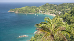 Tobago Castara Bay